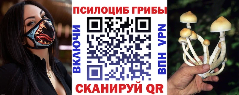 Псилоцибиновые грибы MAGIC MUSHROOMS  как найти   Тверь 